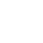 Aegisora